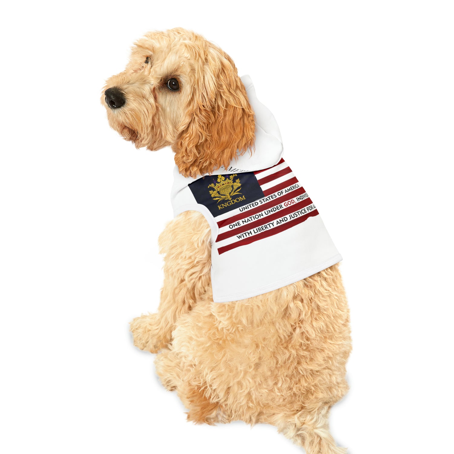 &quot;WE ARE AMERICA&quot;- Pet Hoodie W/ Kngdom Logo